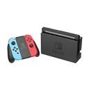 Nintendo Switch / V1 / V2 / OLED / Lite